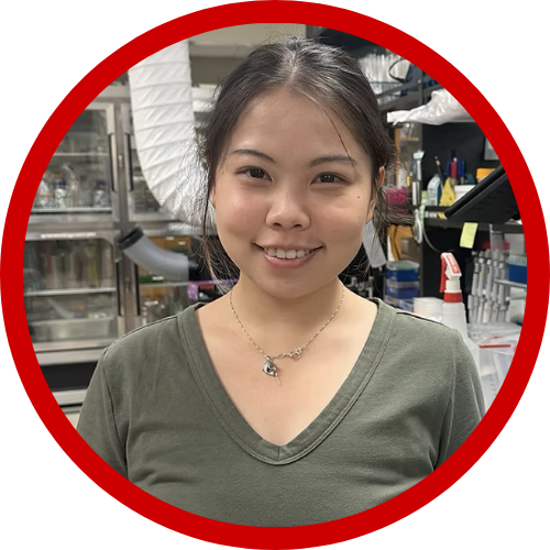 Qiaochu Li Profile Photo