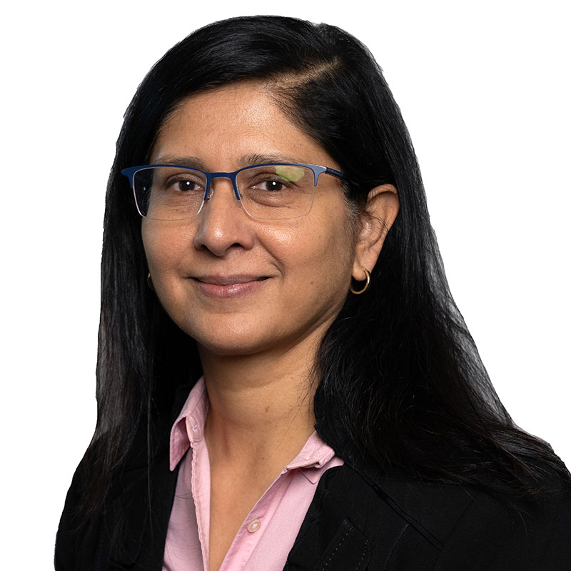 Dr. Veena Misra Profile Photo